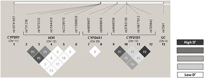 Vitamin D metabolism-related single nucleotide polymorphisms in Chronic Obstructive Pulmonary Disease risk